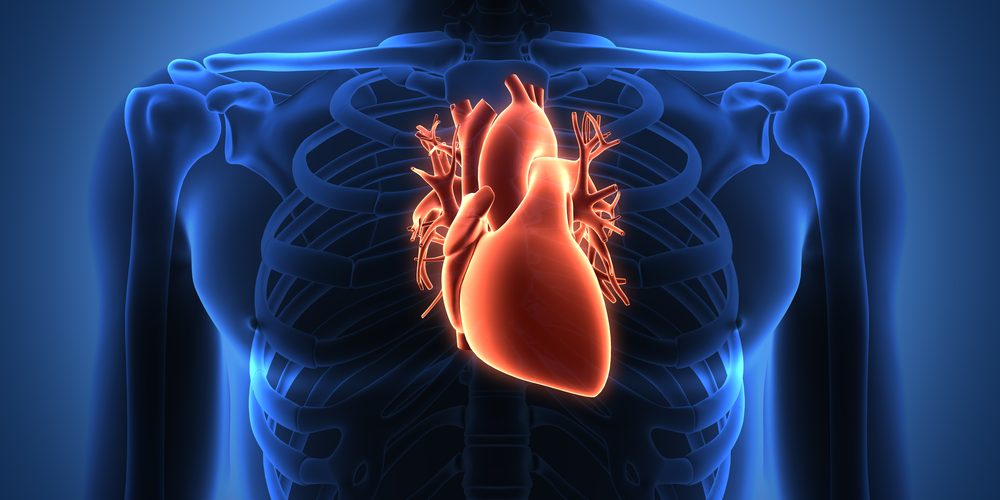 shutterstock_127581710