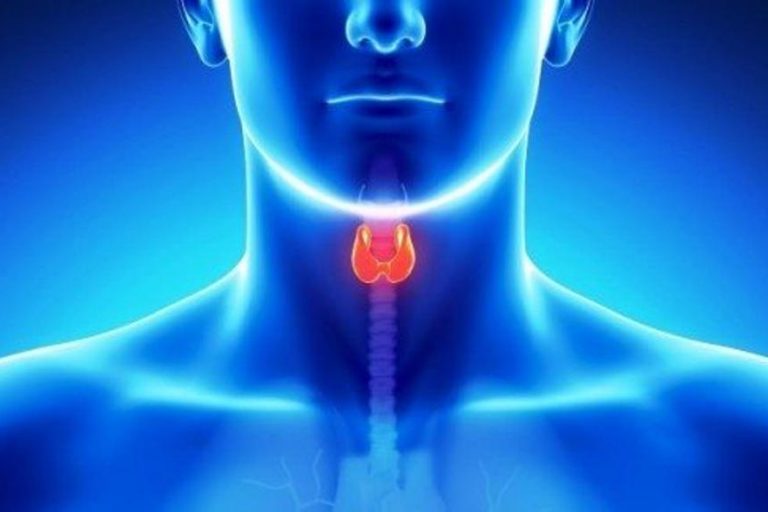 thiroidis | Iatromedia.gr