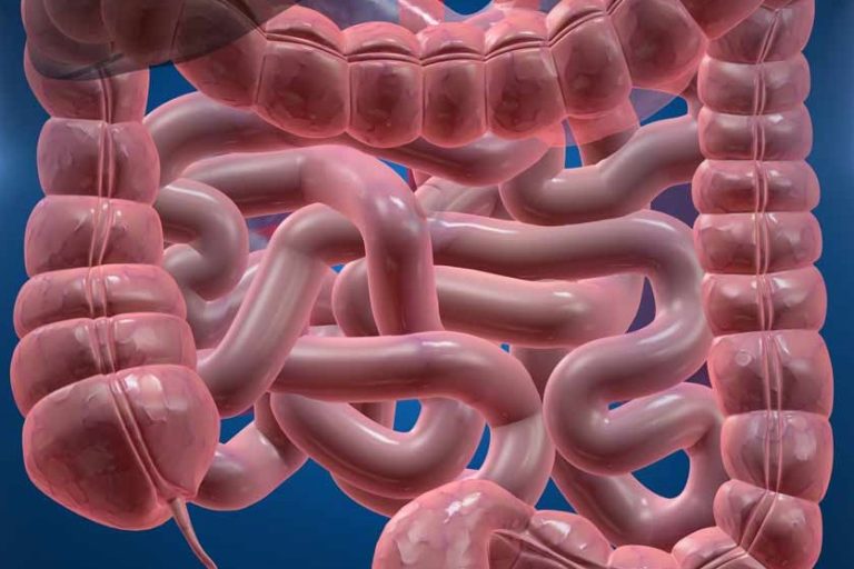 5 αιθέρια έλαια για τη δυσκοιλιότητα 5 αιθέρια έλαια για τη δυσκοιλιότητα