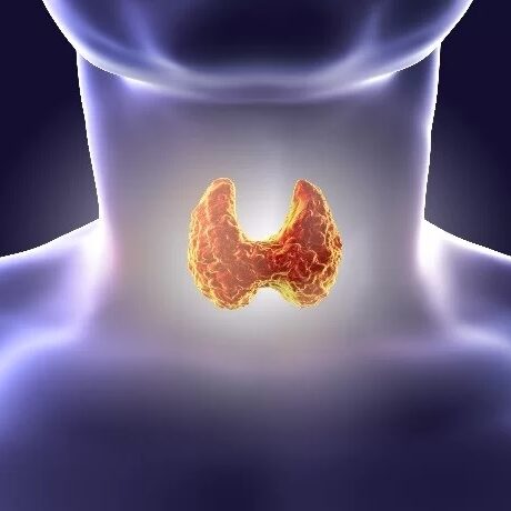 5 χρήσιμες συμβουλές για τη σωστή λειτουργία του θυρεοειδούς σας