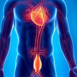 Ανεύρυσμα Κοιλιακής Αορτής