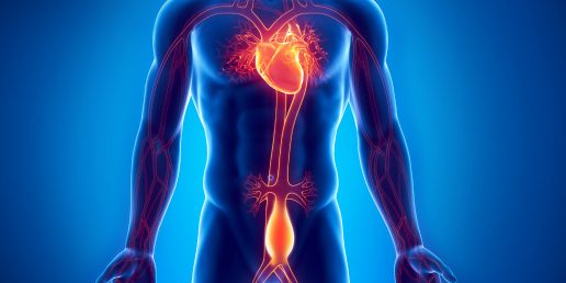 Ανεύρυσμα Κοιλιακής Αορτής