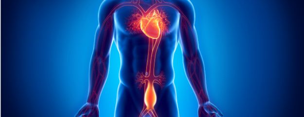 Ανεύρυσμα Κοιλιακής Αορτής