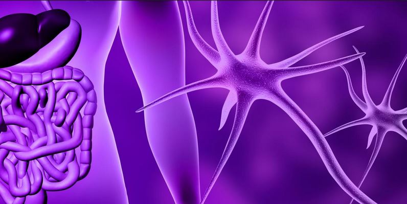 Ευαισθησία στη γλουτένη