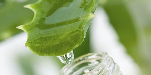 Αλόη βέρα, μια φυσική θεραπεία για την ανακούφιση των αιμορροΐδων