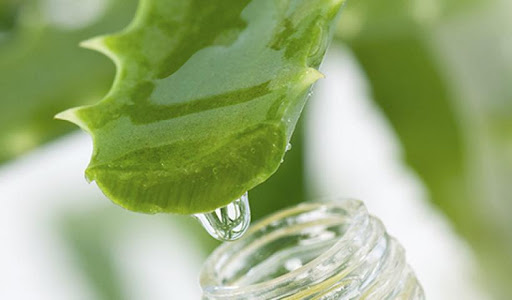 Αλόη βέρα, μια φυσική θεραπεία για την ανακούφιση των αιμορροΐδων