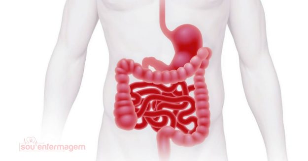 Εντερική ανεπάρκεια