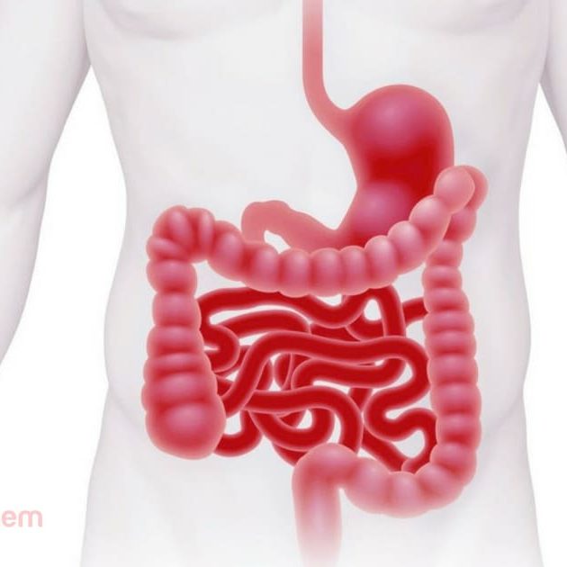 Εντερική ανεπάρκεια