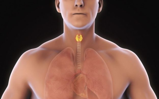 ΟΖΟΙ ΘΥΡΕΟΕΙΔΟΥΣ ΑΔΕΝΑ