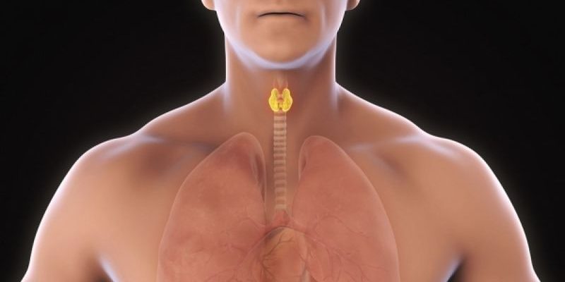 ΟΖΟΙ ΘΥΡΕΟΕΙΔΟΥΣ ΑΔΕΝΑ ΟΖΟΙ ΘΥΡΕΟΕΙΔΟΥΣ ΑΔΕΝΑ