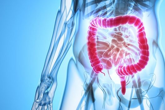 Παράγοντες κινδύνου για καρκίνο του πρωκτού