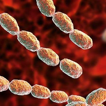 Ποιες ασθένειες μπορούν να προκαλέσουν αίμα στα κόπρανα