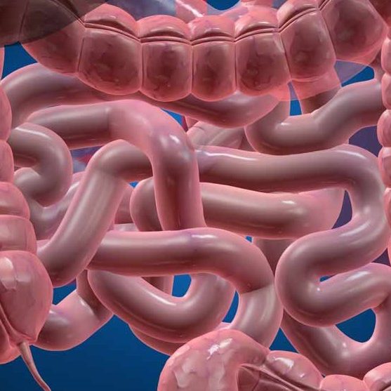 Ποιες είναι οι αιτίες της δυσκοιλιότητας;