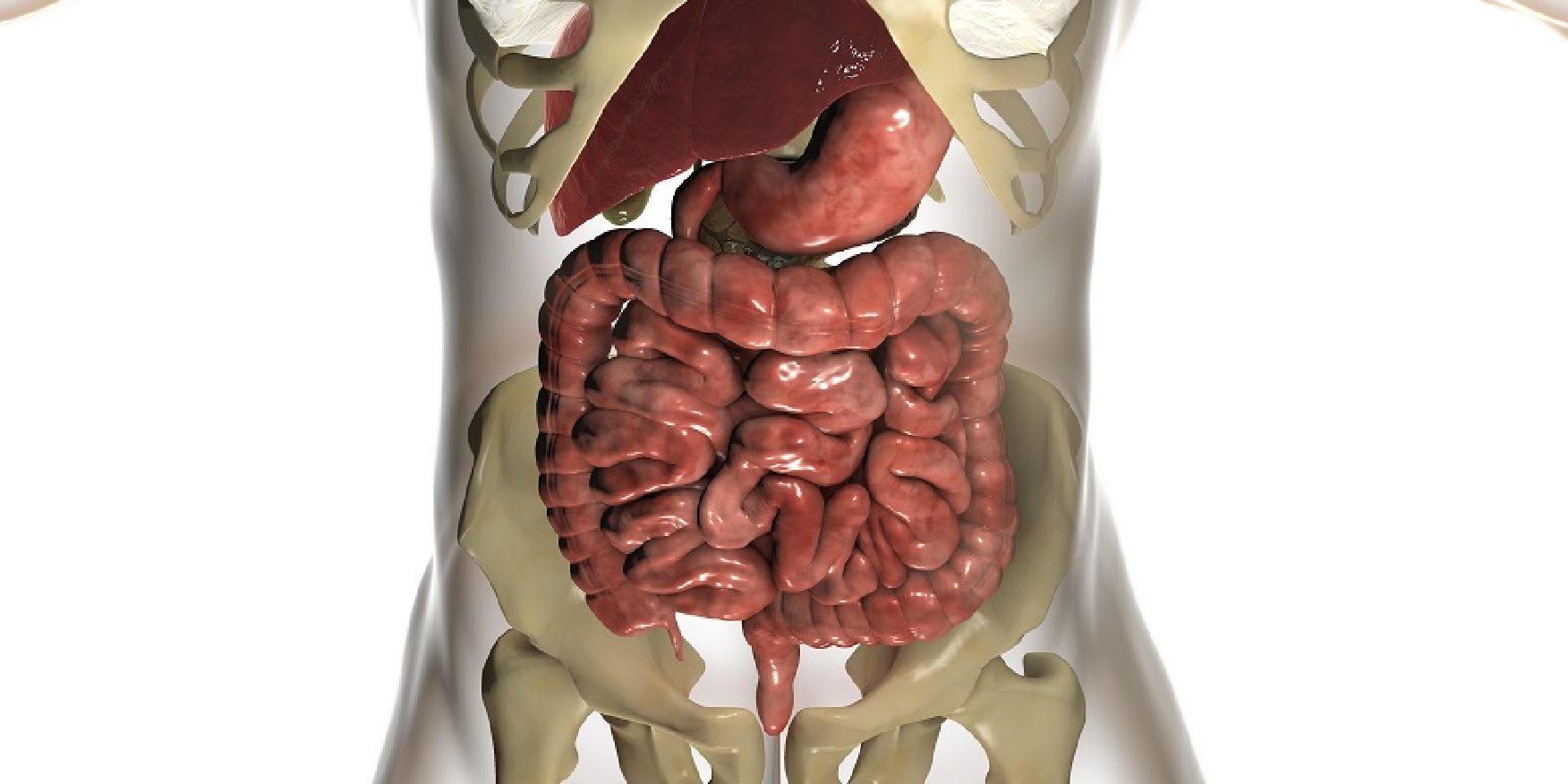 Πρωκτική αιμορραγία