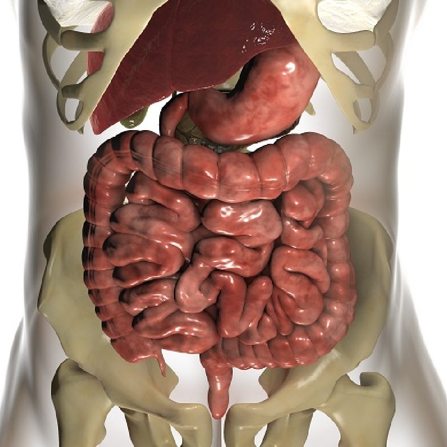 Πρωκτική αιμορραγία