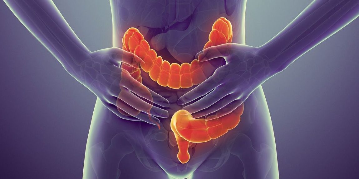 Σημαντικές λειτουργίες του παχέος εντέρου