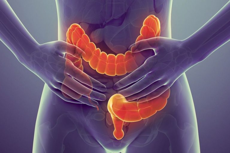 Σημαντικές λειτουργίες του παχέος εντέρου