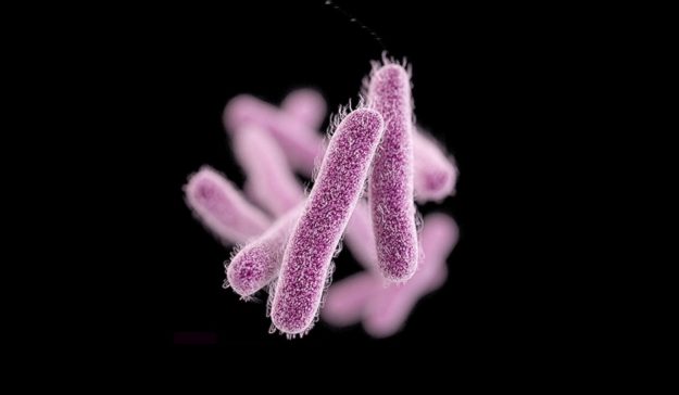 Σιγγέλλωση, συμπτώματα και θεραπεία