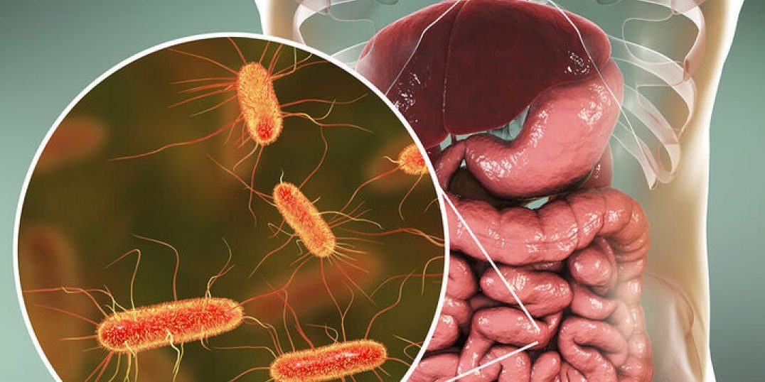 Σχεδόν 2.000 νέα βακτήρια εντέρου Σχεδόν 2.000 νέα βακτήρια εντέρου