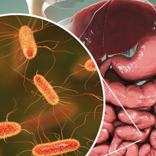 Σχεδόν 2.000 νέα βακτήρια εντέρου