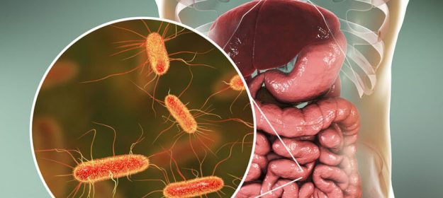 Σχεδόν 2.000 νέα βακτήρια εντέρου