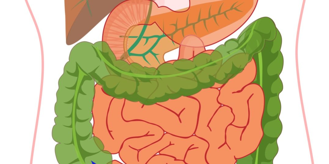 Σύνδρομο Gardner