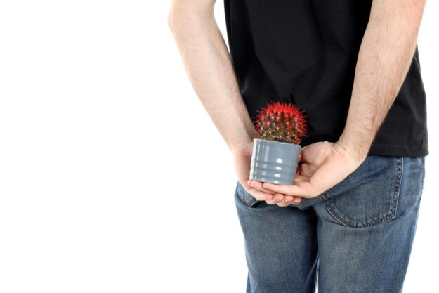 αιμορροΐδες