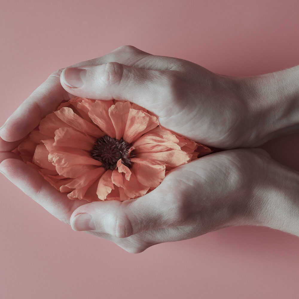 καρκίνος στις ωοθήκες