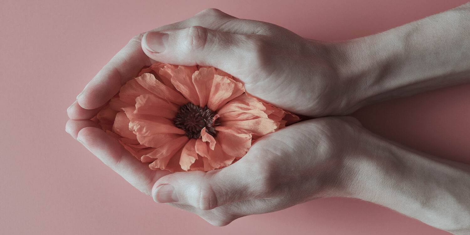 καρκίνος στις ωοθήκες