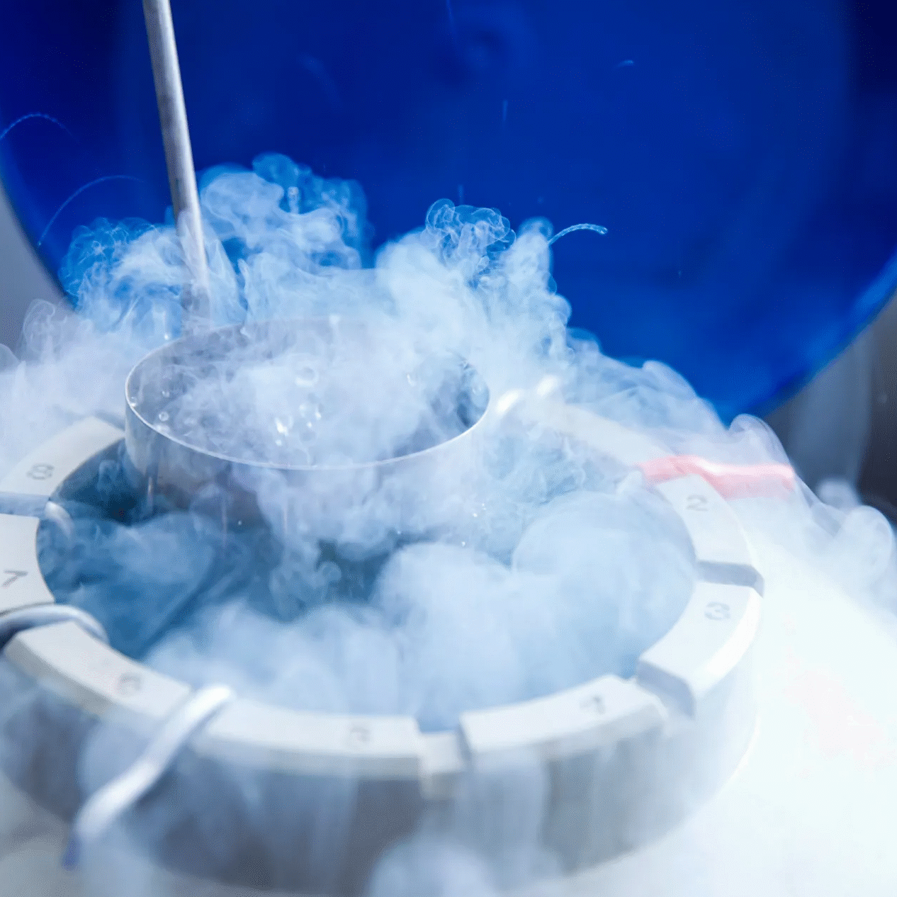 Κρυοσυντήρηση Ωαρίων Κρυοσυντήρηση Εμβρύων