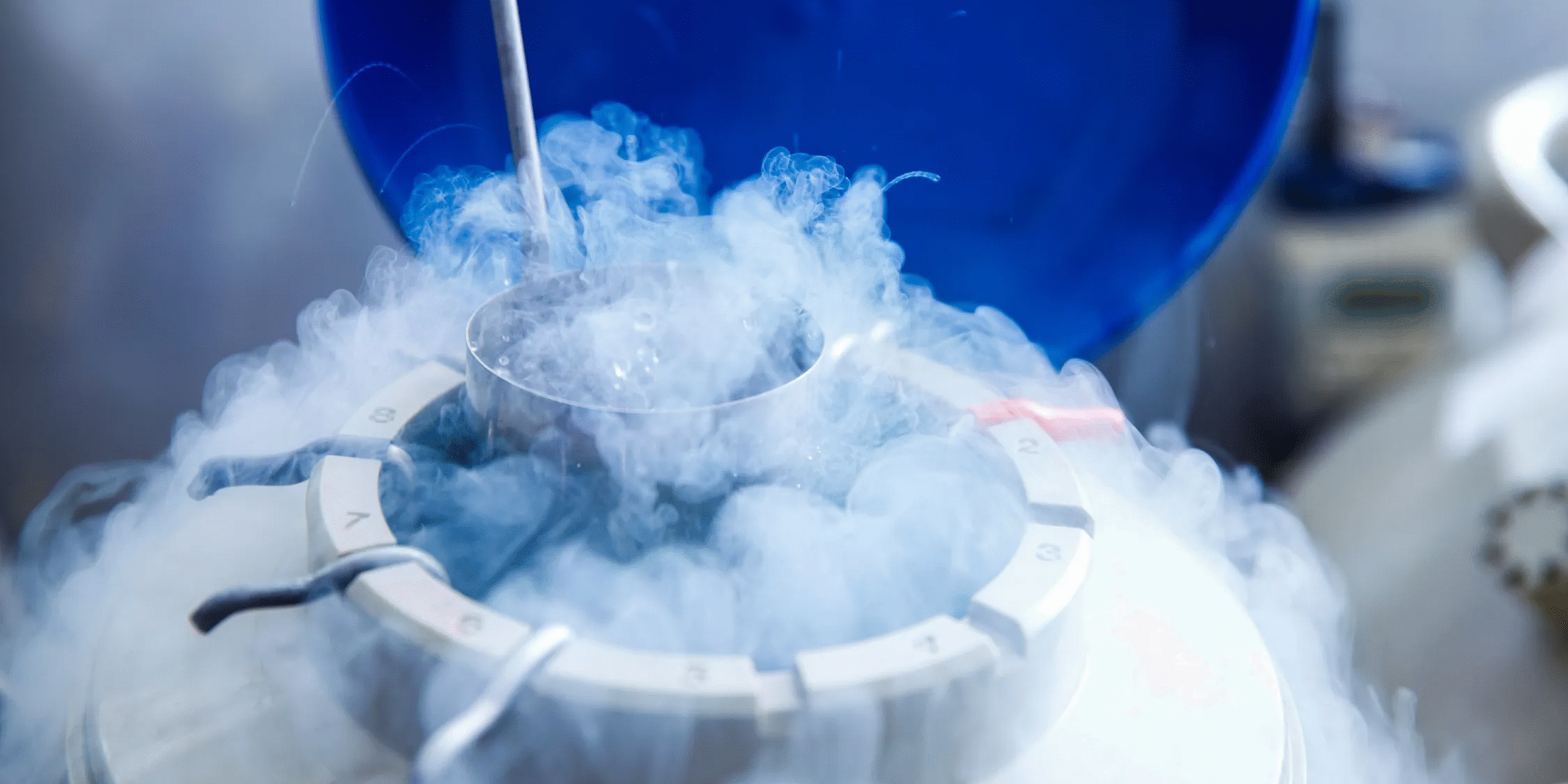 Κρυοσυντήρηση Ωαρίων Κρυοσυντήρηση Εμβρύων Κρυοσυντήρηση Ωαρίων Κρυοσυντήρηση Εμβρύων