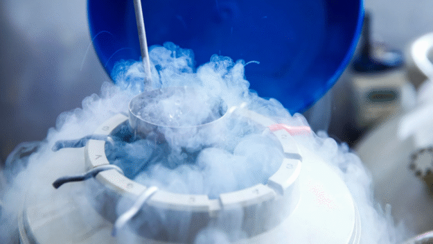 Κρυοσυντήρηση Ωαρίων Κρυοσυντήρηση Εμβρύων