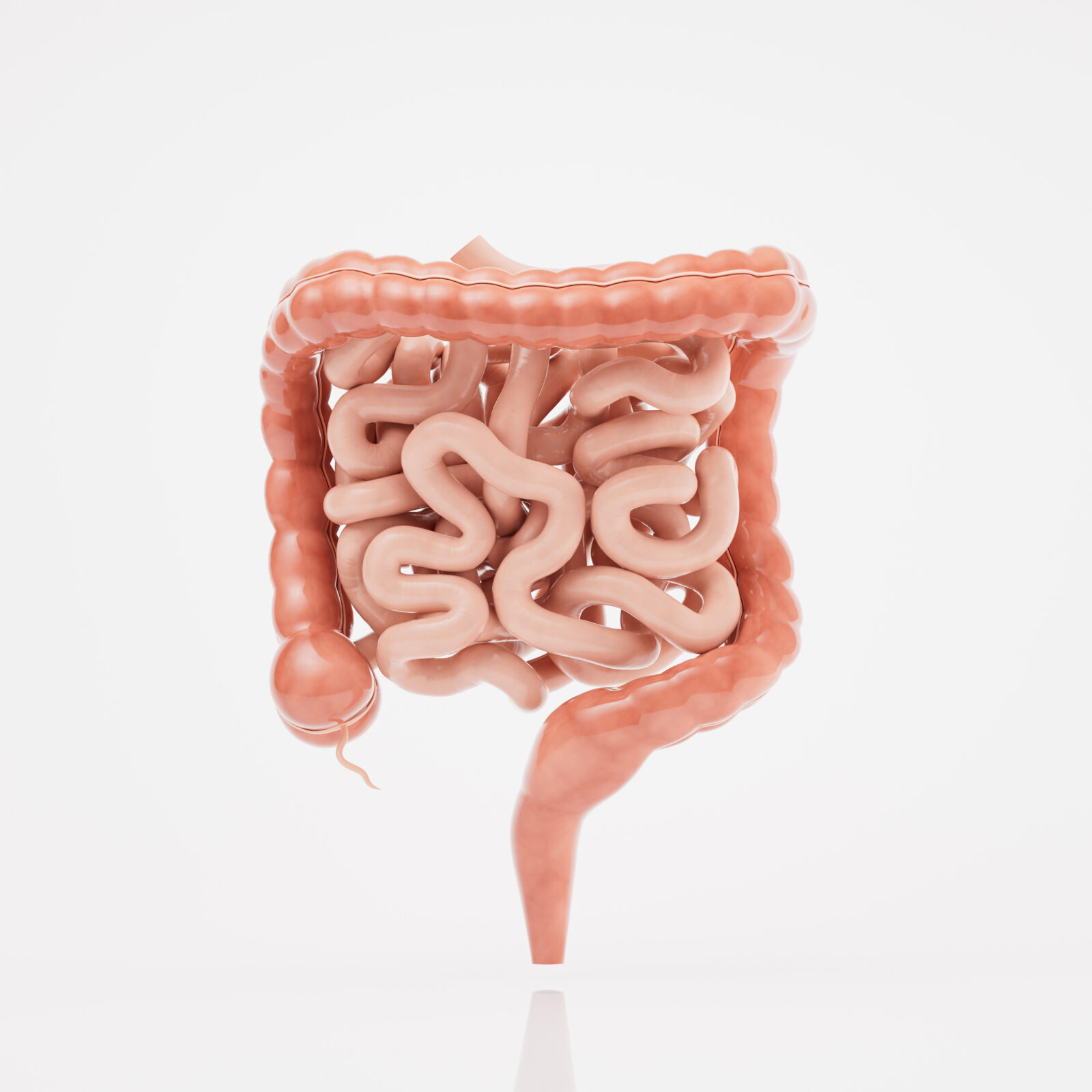 Μικροβίωμα του Εντέρου και Σύνδρομο Ευερέθιστου Εντέρου