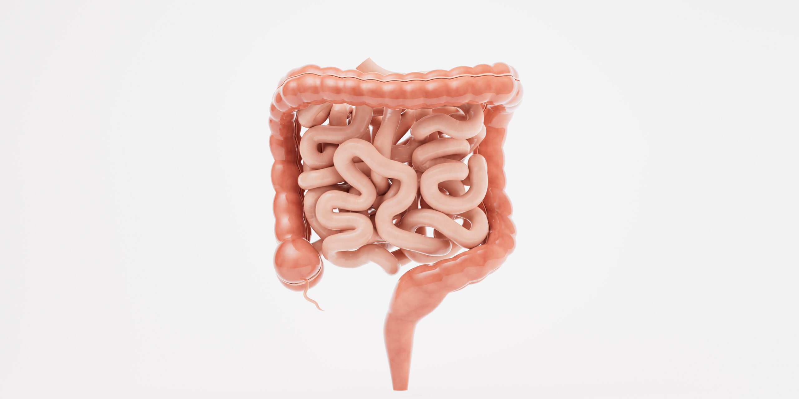 Μικροβίωμα του Εντέρου και Σύνδρομο Ευερέθιστου Εντέρου