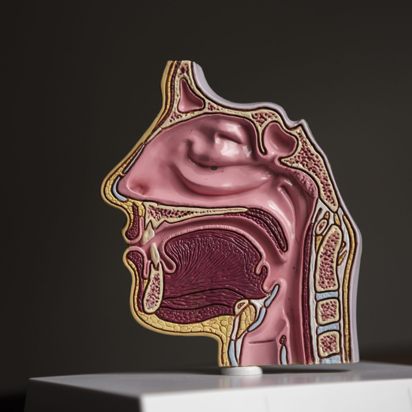 Οισοφάγος Barrett