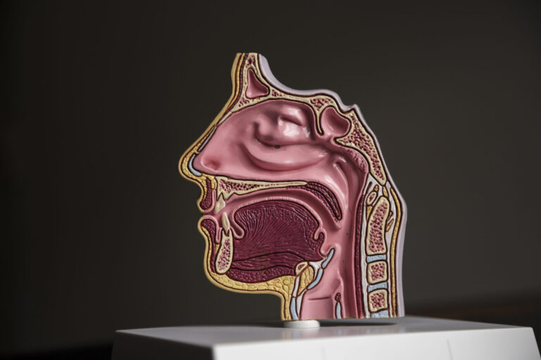 Οισοφάγος Barrett Οισοφάγος Barrett