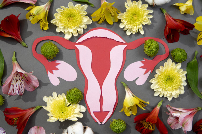 Παχύ ενδομήτριο στην εμμηνόπαυση Παχύ ενδομήτριο στην εμμηνόπαυση