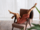 μύθοι και αλήθειες για τους κιρσούς