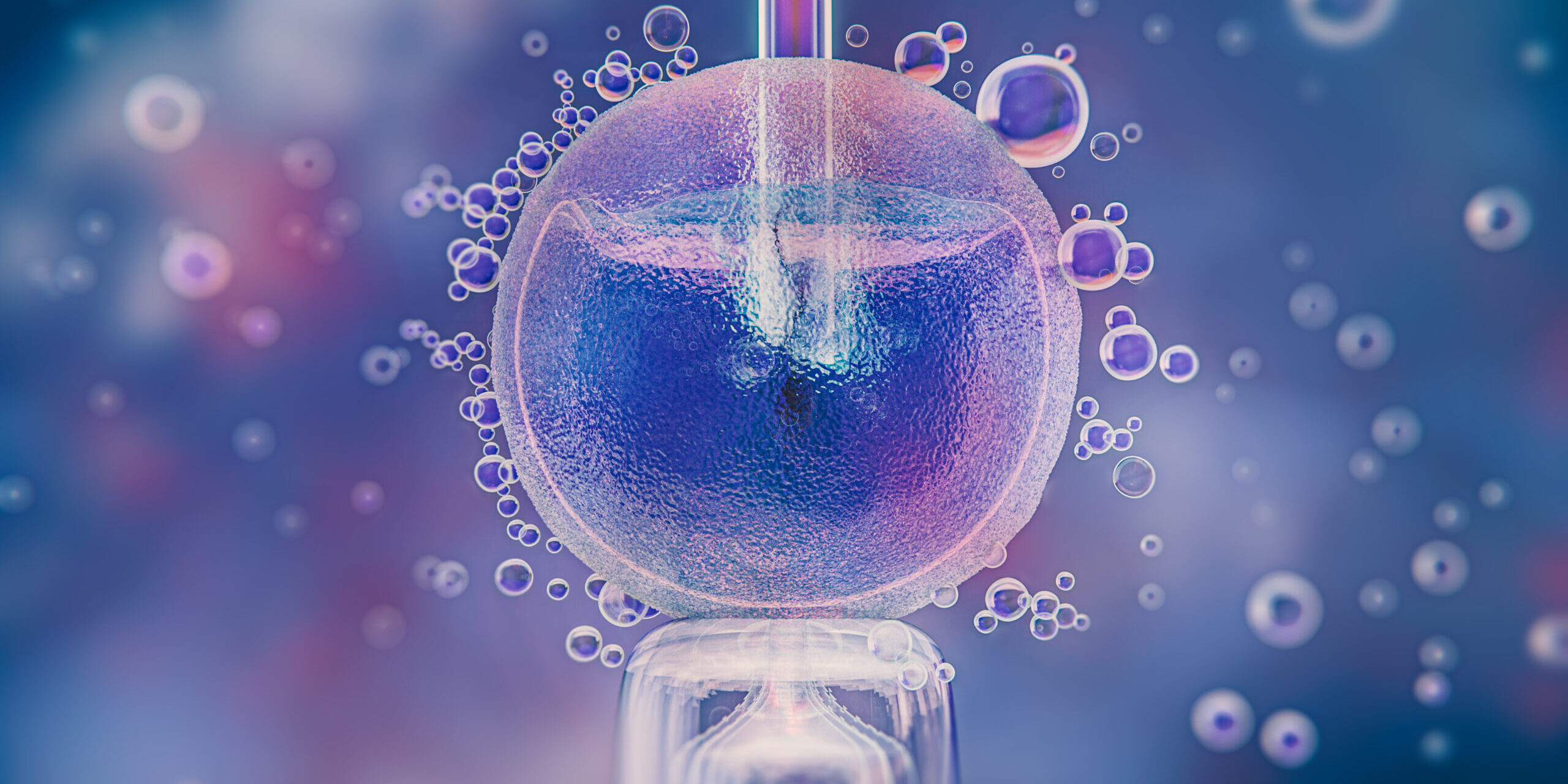 What Is the Best Age to Freeze Your Eggs? What Is the Best Age to Freeze Your Eggs?