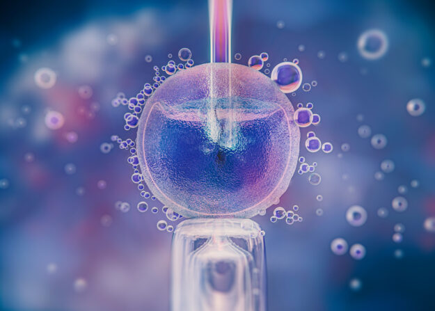 What Is the Best Age to Freeze Your Eggs?